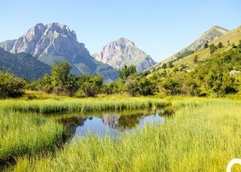 Problemi i ujit në Tetovë të trajtohet në kuadër të Këshillit për siguri kombëtare