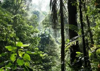 Eurodeputetët kërkojnë objektiva detyruese për të mbrojtur biodiversitetin