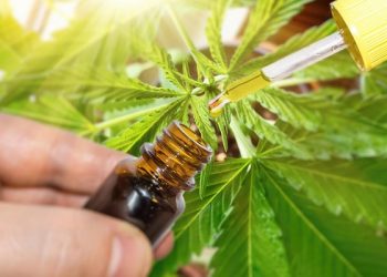 Grupi i punës për kanabis i definoi termat dekriminalizim, legalizim dhe depenalizim, do të analizohen politikat e kanabisit në 10 vende të rajonit, Evropës dhe botës