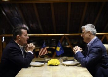 Grenell: S’ndjehem mirë që Thaçi është në burg për shkak se ne e ftuam në SHBA, do ta lirojmë nëse fiton Trump